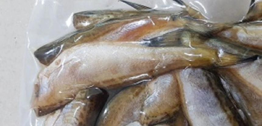 두절 도루묵 500g이상(찌게,조림용,반찬용) 상세 안내 16