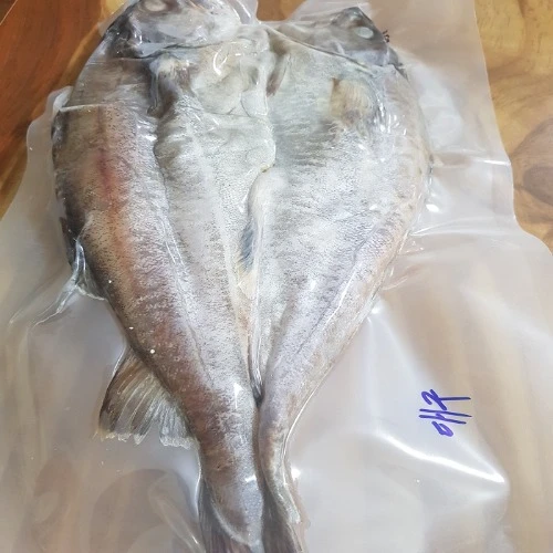 동해 해풍건조 반건조 생선 대구 40cm내외 찜,구이,선물용 특가판매