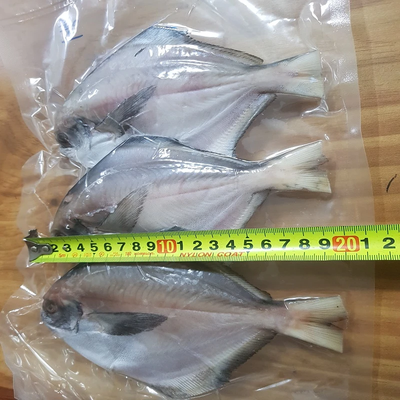 동해 해풍건조 반건조 생선 병어(3마리) 20cm내외 찜,구이,선물용 특가판매 상세 안내 3