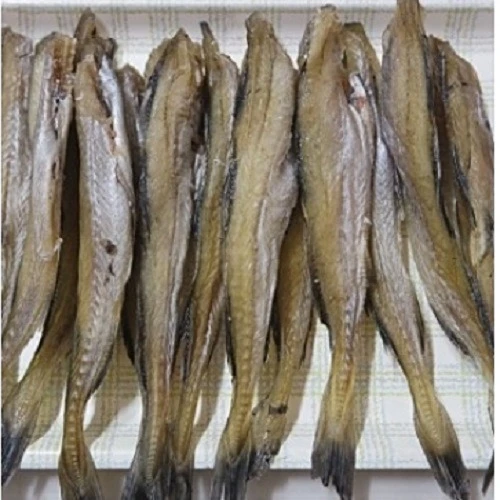 반건조 조미노가리 10미(500g이상) ,술안주,조림용,반찬용