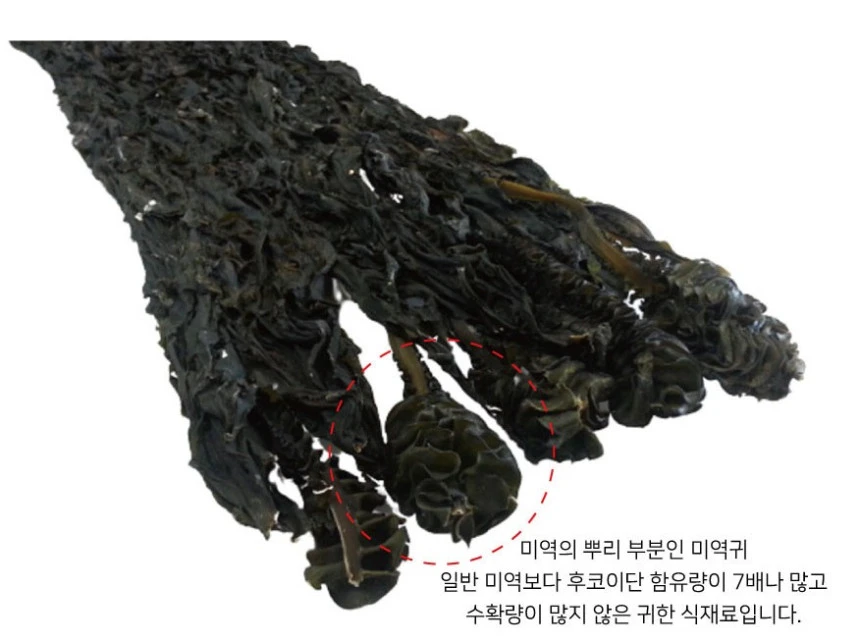 자연산돌미역 600g-육수,반찬용(동해산) 상세 안내 22