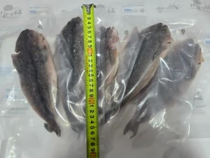(중대) (4~5인분) 완전손질과메기15마리(30쪽)+야채풀세트 상세 안내 34