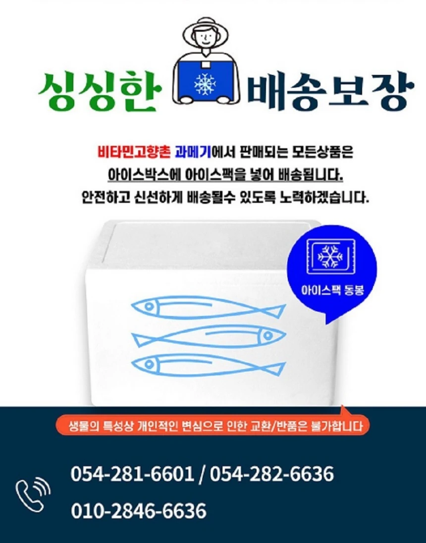 동해 해풍건조 국내산 반건조 참돔 완전손질 참돔3마리 (특대30cm내외/450g내외) 상세 안내 17