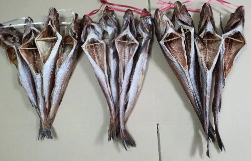 깔끔 코다리 4마리 ~46cm