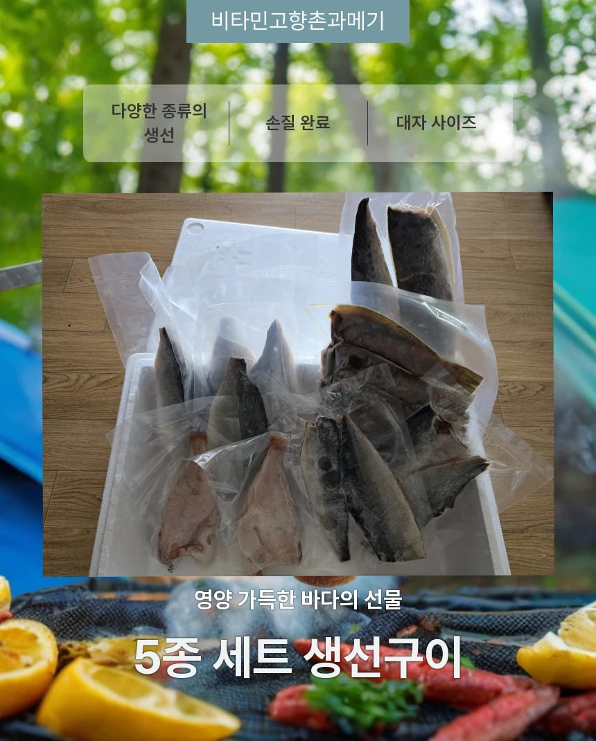동해안 해풍건조 생선구이5종세트,(고등어,삼치,방어,열기,가자미) 상세 안내 3