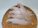 동해바다 해풍건조 서대,박대(4미) 대방출 상품 이미지 8