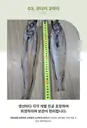 동해바다 해풍건조 반건조생선세트(제수용,선물용)참가자미,미주구리,참돔,코다리,방어,열기 생선모듬 행사장 상품 이미지 4