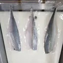 국내산 방어 손질 방어 필렛 (개별 진공포장) 상품 이미지 3
