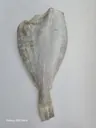 동해 해풍건조 참가자미 특대 완전손질 가자미 2마리(마리당30cm) 상품 이미지 3