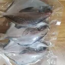 대표 사진