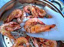 국내산 자연산 대하 특대 / 프리미엄 왕새우 급냉 /동해안 산지직송 (1kg-20~23미) 상품 이미지 4