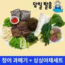 대표 사진